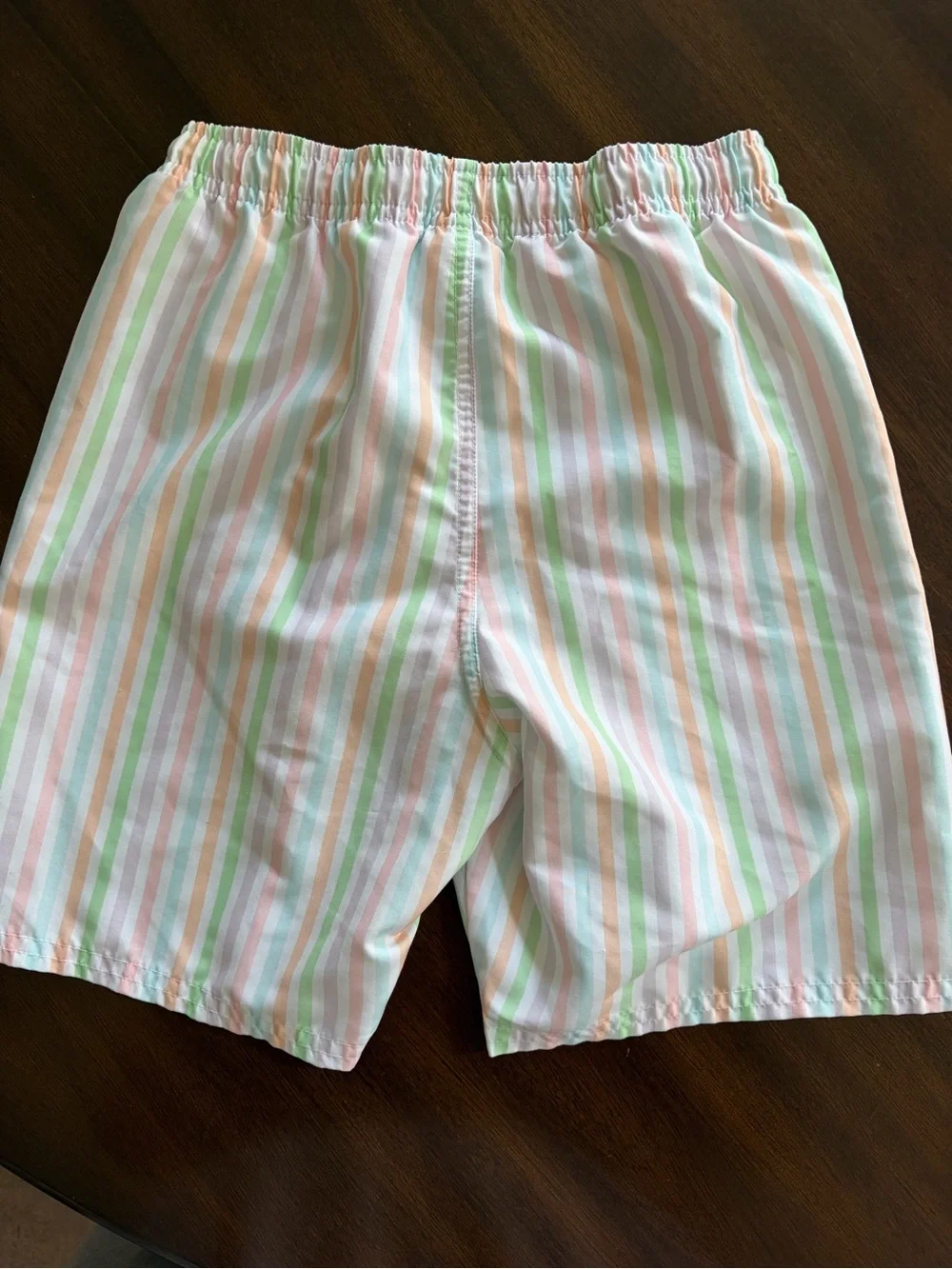 Boys Pastel Stripe Swim Trunks